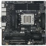 Asus PRO WS B850M-ACE SE 90MB1MN0-M0EAY0 – Zboží Živě
