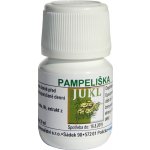 Jukl tinktura Pampeliška 30 ml – Hledejceny.cz