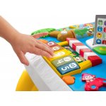 Fisher-Price Pejskův stoleček Smart Stages CZ/EN – Zboží Dáma