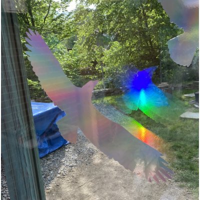 Silueta dravce z holografické fólie Fantasy rainbow, proti narážení ptáků do skla Silueta dravce z holografické folie Fantasy rainbow (65 x 150 mm tl.0,065 mm) - kód: 24607 – Sleviste.cz