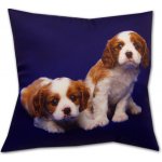 Dadka polštář Dva béžovohnědí psi 40x40 – Zbozi.Blesk.cz