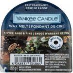Yankee Candle vonný vosk Silver Sage & Pine Stříbrná šalvěj a borovice 22 g – Zboží Dáma