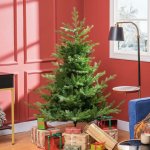 HOMCOM Vánoční stromek - jedle 100 x 100 x 150 cm zelený – Hledejceny.cz