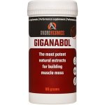 Androrganics Giganabol 140 kapslí – Zboží Dáma