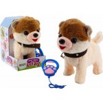 LeanToys Interaktivní pes na vodítku chodí, tančí, zpívá, bílá, béžová – Hledejceny.cz