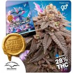 Dutch Passion Slush Mint Cake BX1 regular semena neobsahují THC 10 ks – Sleviste.cz