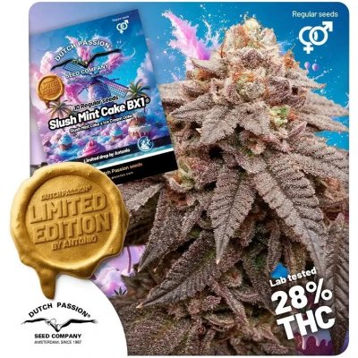 Dutch Passion Slush Mint Cake BX1 regular semena neobsahují THC 10 ks – Sleviste.cz