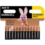 Duracell Basic AAA 12ks 10PP100006 – Zbozi.Blesk.cz