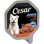 Cesar Junior s krůtím a telecím 28 x 150 g – Hledejceny.cz