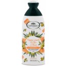 L' Angelica Shampoo Nutriente Pappa Reale Oliva 250 ml