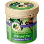 Topvet Artroregen gel 250 ml – Hledejceny.cz