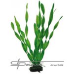 Hobby Vallisneria 34 cm – Sleviste.cz