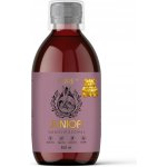 PURE Nanolipozomální JUNIOR "PREMIUM" 500 ml – Hledejceny.cz
