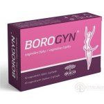 Borogyn vaginální čípky 10 x 2 g – Zboží Dáma