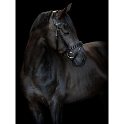 Catago Uzdečka Torina černá – Zboží Dáma