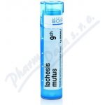 LACHESIS MUTUS POR 9CH GRA 4G – Hledejceny.cz