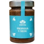 Včelařství Domovina Propolis v medu 400 g – Zboží Dáma