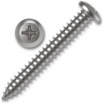 Šroub do plechu DIN 7981C PH 4,2x45mm ZB – Hledejceny.cz