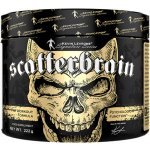 Kevin Levrone Scatterbrain 222 g – Hledejceny.cz