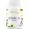 Vitamín a minerál HillVital Vitamín B6 Pyridoxin 100 kapslí