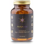 NaturLabs hořčík chelátový + vitamín B6 90 kapslí – Hledejceny.cz