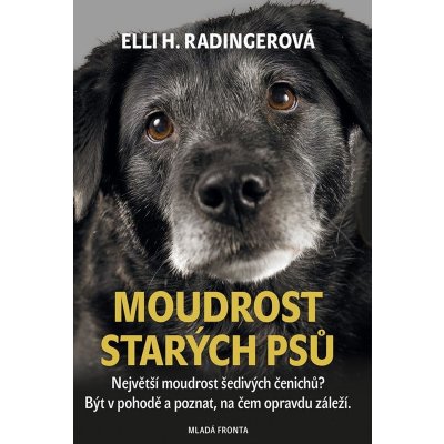 Moudrost starých psů – Zbozi.Blesk.cz