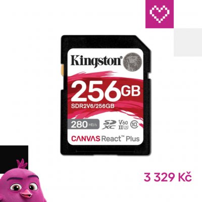 Kingston SDXC 256GB SDR2V6/256GB – Zboží Živě