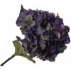 Květina Hortenzie - Hydrangea fialová V65 cm