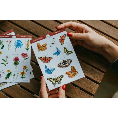 ePipí Arch samolepek motýli 2 A6 – Zboží Dáma