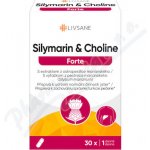 Livsane Silymarin a cholin Forte 30 kapslí – Hledejceny.cz