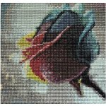 Diamond Art Diamantový obrázek Vicente Romero 40 x 50 cm sada 8242 24200 – Hledejceny.cz