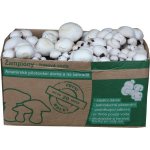 PLANTO Sada pro pěstování Žampión bílý 10kg (Agaricus Bisporus) PO-10KG-ZB – HobbyKompas.cz