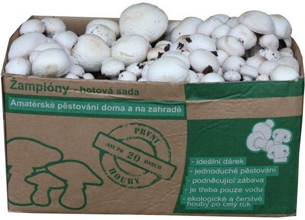 PLANTO Sada pro pěstování Žampión bílý 10kg (Agaricus Bisporus) PO-10KG-ZB