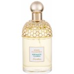 Guerlain Aqua Allegoria Bergamote Calabria toaletní voda dámská 125 ml tester – Hledejceny.cz