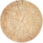 Orion Korkové prostírání Wooden 38cm – Hledejceny.cz