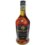 Napoleon Ambassador 30% 0,7 l (holá láhev) – Zboží Mobilmania