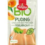Amylon Bio puding meruňkový s kousky ovoce bezlepkový 40 g – Hledejceny.cz