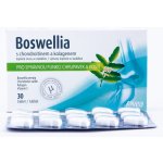 Favea Boswellia s chondroitinem a kolagenem 30 tablet – Hledejceny.cz