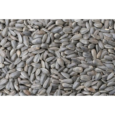 MJM agro Slunečnice -10 kg – Zboží Dáma