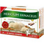 Terezia Company Hericium erinaceus s rakytníkovým olejem 60 kapslí – Hledejceny.cz