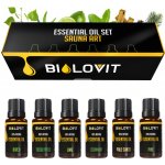 Bilovit vonný olej Umění saunování 6 x 10 ml – Hledejceny.cz