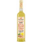 Hollinger Sirup zázvorový 0,5 l – Sleviste.cz