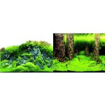 Macenauer fototapeta 4L 100 x 50 cm – Zboží Dáma