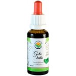 Salvia Paradise Gotu kola tinktura bez alkoholu 30 ml – Hledejceny.cz