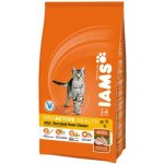 Iams ProActive Health Adult kuře 10 kg – Hledejceny.cz