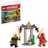 Lego LEGO® Ninjago 30650 Bitva Kaie a Raptona v chrámu