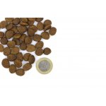 Marp Holistic Red Mix Grain Free hovězí krůtí zvěřina 12 kg – Hledejceny.cz