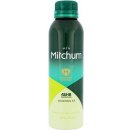 Mitchum Advanced Control Mountain Air Men deospray 200 ml