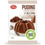 Amylon puding čokoládový Bio 40 g – Zboží Mobilmania