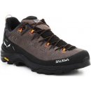 Salewa Alp Trainer 2 Gore Tex hnědé